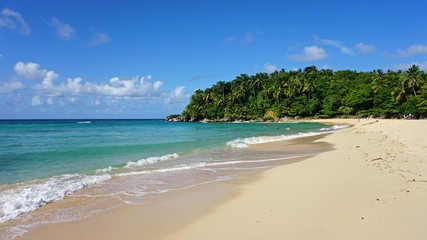 Wall Mural - playa grande