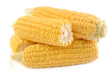 Canvas Print - Corn on a white background