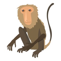 Wall Mural - Sitting monkey icon, cartoon style