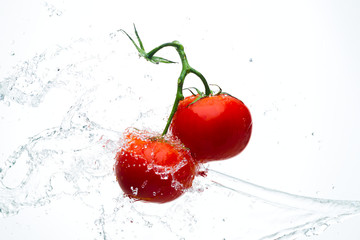 Red tomatoes on a branch with drops of water on a white backgrou