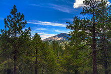 Mountain View In Pine Forest With Blue Sky And Clouds