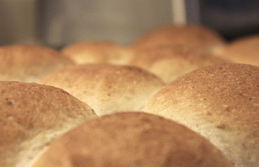 homemade rolls fresh out of oven