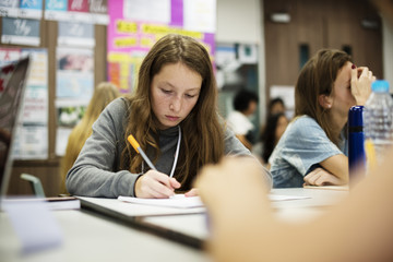 Wall Mural - group of students studying in the classroom