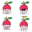 Collection set of lychee cartoon character style
