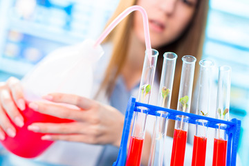 Poster - Research of photosynthesis of green plants. Food quality control of agricultural plans