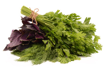 Sticker - basil, dill and parsley