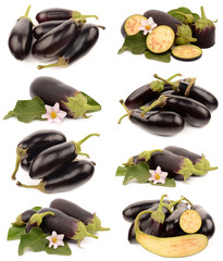 Sticker - Aubergine on a white background