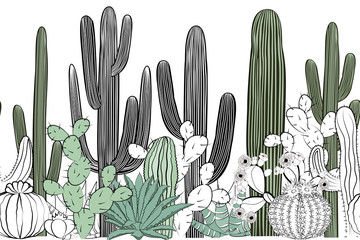 Seamless pattern with cactus. Wild cactus forest