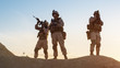 © Gorodenkoff - Squad of Three Fully Equipped and Armed Soldiers Standing on Hill in Desert Environment in Sunset Light.