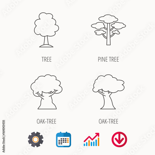 Oak Tree Chart