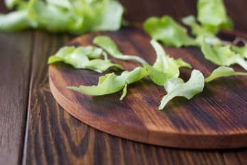 Green salad leaves