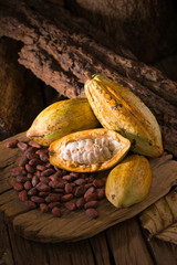 Canvas Print - Cacao fruit, raw cacao beans, Cocoa pod on wooden background