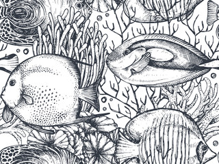 Wall Mural - Vector monochrome seamless sea pattern with tropical fishes, algae, corals.