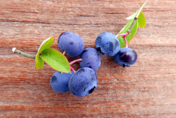 Fresh Blueberries