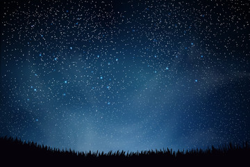 stars in night sky. blue dark night sky with many stars above field of grass. shining stars and clou