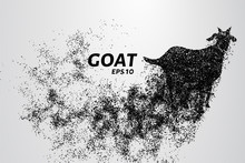 Goat Of The Particles. The Goat Consists Of Circles And Points. Vector Illustration.