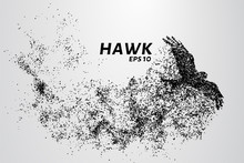 Hawk Of The Particles. The Silhouette Of A Hawk Consists Of Small Circles.