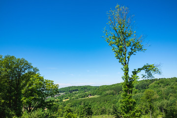 Ausblick mit Fortwirtschaft am Dreiländereck Deutschland, Holland, Belgien im Sommer bei Sonnenschein