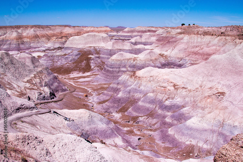 Tapeta ścienna Skamieniały las park narodowy, arizona, stany zjednoczone