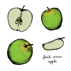 Fruit Menu - Green Apple - hand-drawn objects