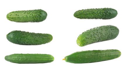 Sticker - Collage of fresh cucumbers on white background