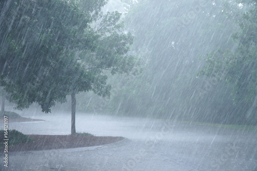 Plakat ulewny deszcz i drzewo na parkingu