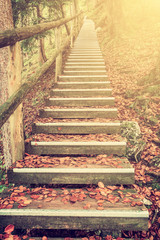 Wall Mural - bright foliage on vintage stairway