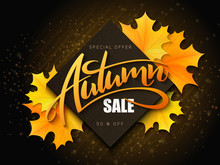 Vector Autumn Sale Banner With Hand Lettering And Yellow Autumn Maple Leaves