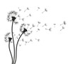 Flower of field dandelion. 