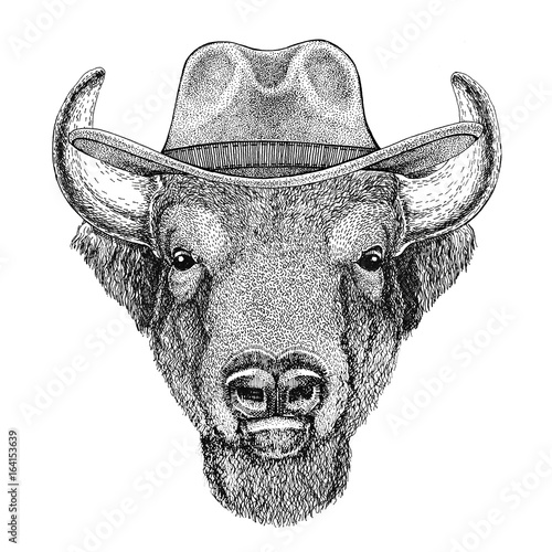 Buffalo Bison Ox Bull Wild Animal Wearing Cowboy Hat Wild West Animal Cowboy Animal T Shirt Poster Banner Badge Design Stock Illustration Adobe Stock