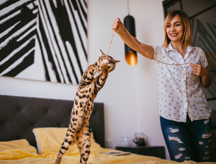 Wall Mural - Woman plays with a rope with Bengal cat