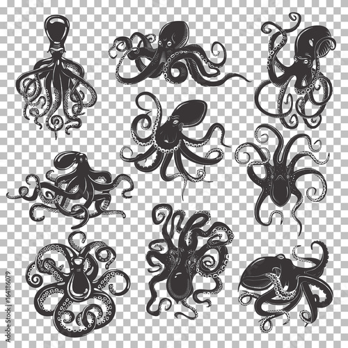 Cuadros en Lienzo Set of isolated octopus mascot or tattoo