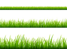 Green Grass Meadow Border Vector Pattern. Spring Or Summer Plant Field Lawn. Grass Background
