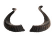 Pair of black ram horns