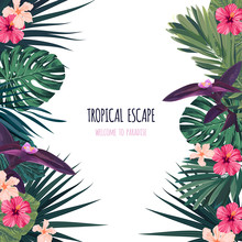Floral Square Postcard Design With Hibiscus Flowers, Monstera And Royal Palm Leaves. Exotic Hawaiian Vector Background.