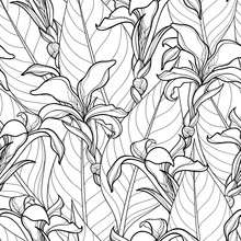Vector Seamless Pattern With Ornate Canna Lily Or Canna Flower And Leaves On The White Background. Floral Pattern In Contour Style With Outline Flower For Tropical Summer Design And Coloring Book.