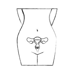 Poster - Female reproductive organ icon vector illustration design