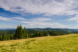 Fototapeta Krajobraz - Carpathian mountains landscape in Ukraine in the summer season in Yaremche