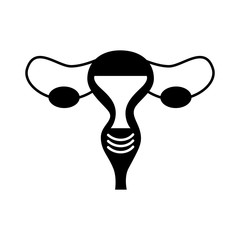 Poster - Female reproductive organ icon vector illustration design