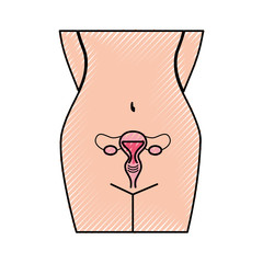 Poster - Female reproductive organ icon vector illustration design