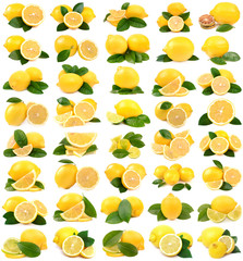 Wall Mural - lemons