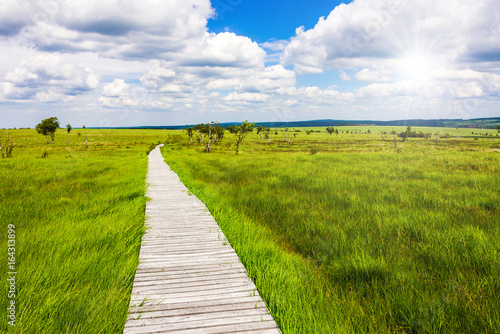 Fotografie, Obraz Einzigartige Aussicht auf dem Steg mit Weitblick über die Landschaft im Natursch