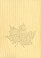 Wall Mural - notepaper document background with a cut out isolated maple leaf watermark