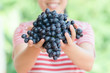 © nungning20 - Woman holding red grape in hand,Grape harvest,Healthy fruit