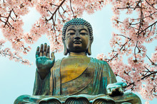 Buddha Statue With Cherry Blossom In Po Lin Monastery, Hong Kong
