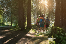 Four Man And Woman Walking Along Hiking Trail Path In Forest Woods During Sunny Day. Group Of Friends People Summer Adventure Journey In Mountain Nature Outdoors. Travel Exploring Alps, Dolomites