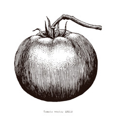 Tomato hand drawing engraving illustration