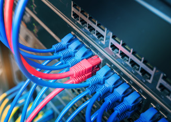 Information Technology Computer Network, Telecommunication Ethernet Cables Connected to Internet Switch.