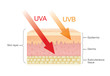 The difference of radiation types in sunlight which is harmful to the skin.Illustration about UVA penetrate deep than UVB.