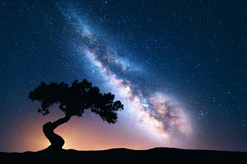 Wall Mural - milky way with alone old crooked tree on the hill. colorful night landscape with bright milky way, s